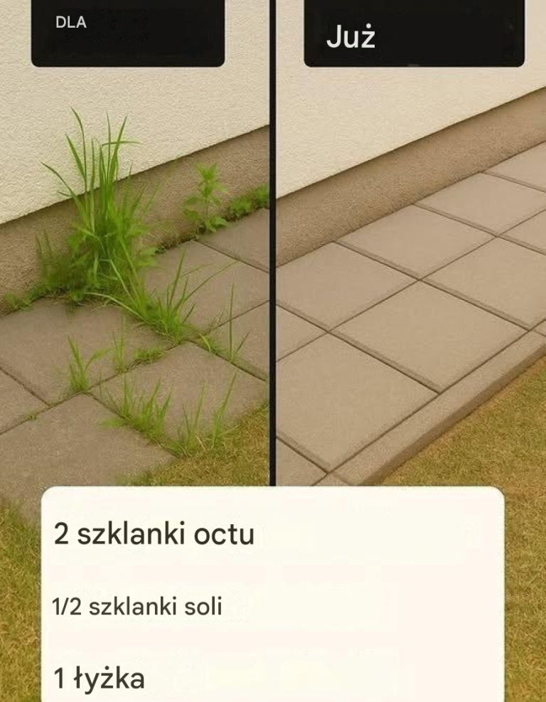 Prosty domowy sposób na chwasty – oto jak go samemu wykonać