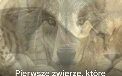 Pierwsze zwierzę, które zobaczysz na tym obrazku, zdradzi, kim jesteś.