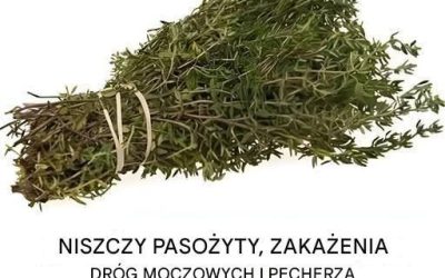 Należy do najpotężniejszych roślin na świecie.