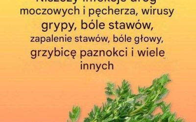 Naturalny środek na pasożyty i drogi moczowe