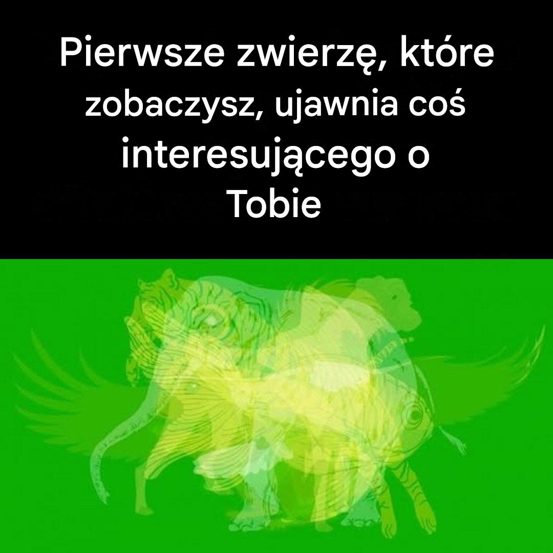 Pierwsze zwierzę, które zobaczysz, ujawnia coś interesującego o Tobie