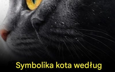 Symbolika kota według Nostradamusa: Czy koty to coś więcej niż tylko zwierzęta domowe? Według Nostradamusa kot nie jest zwierzęciem takim jak każde inne…