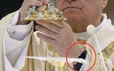Świadkowie zaniemówili na widok tego, co się wydarzyło