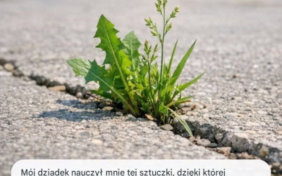 Mój dziadek nauczył mnie tej sztuczki, która pozwala usuwać chwasty z podjazdu niemal bez wysiłku. Oto jak to działa.