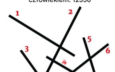 Wybierz najdłuższą linię; Twoja odpowiedź ujawni, jakim typem człowieka jesteś.
